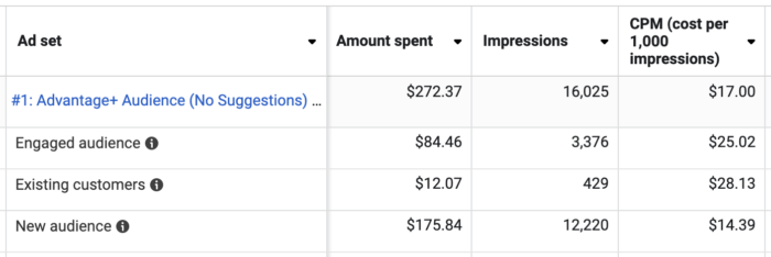 Advantage+ Audience No Suggestions Audience Segments