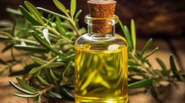 Tea tree oil Tea tree oil