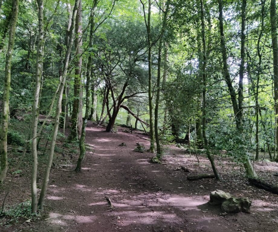 1721422045 268 Serpentine Woods Alphabet Trail for younger visitors to Kendal