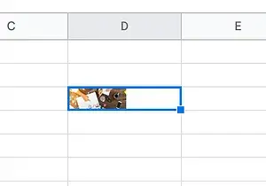 screenshot showing how an image will appear in a Google Sheet field when uploaded