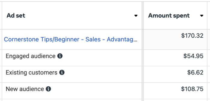 Advantage+ Shopping Audience Segments