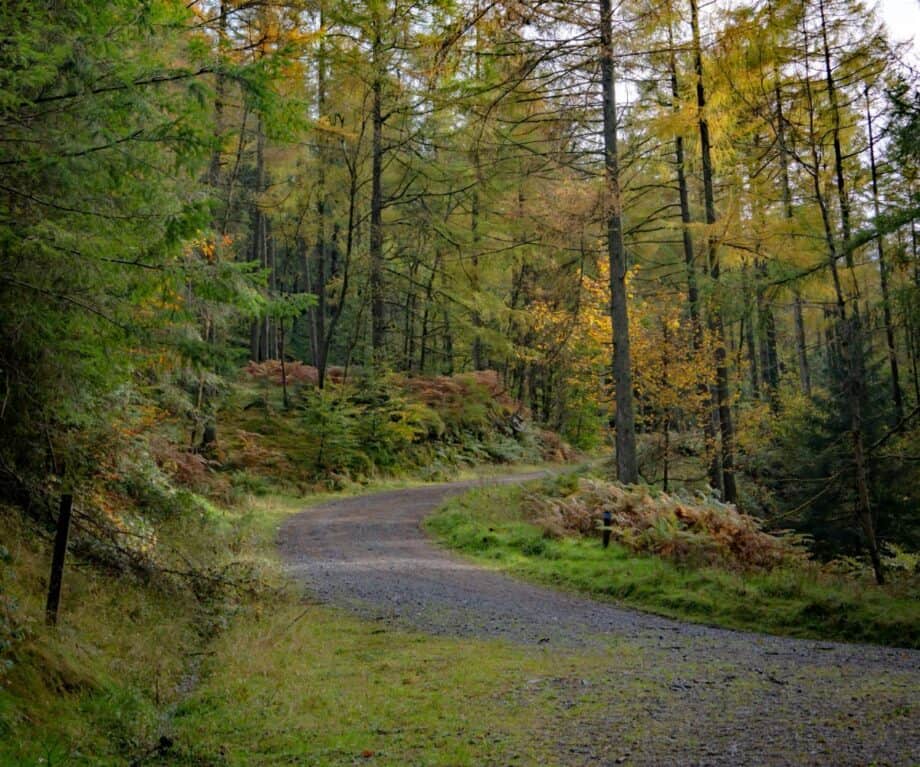 1724065077 202 Short accessible walks in the southern Lake District