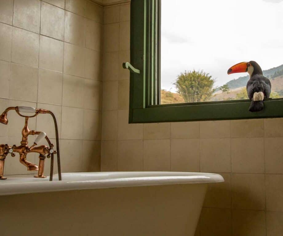 Brazil's top 5 luxury nature lodges 36 1724672262 458 Brazils top 5 luxury nature lodges