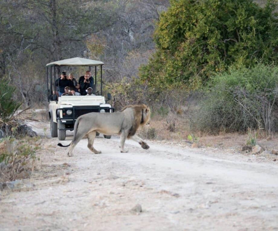 1726386404 182 Lovely Liwonde Malawis wildlife treasure