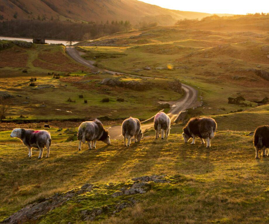 Getting around the Lake District without a car