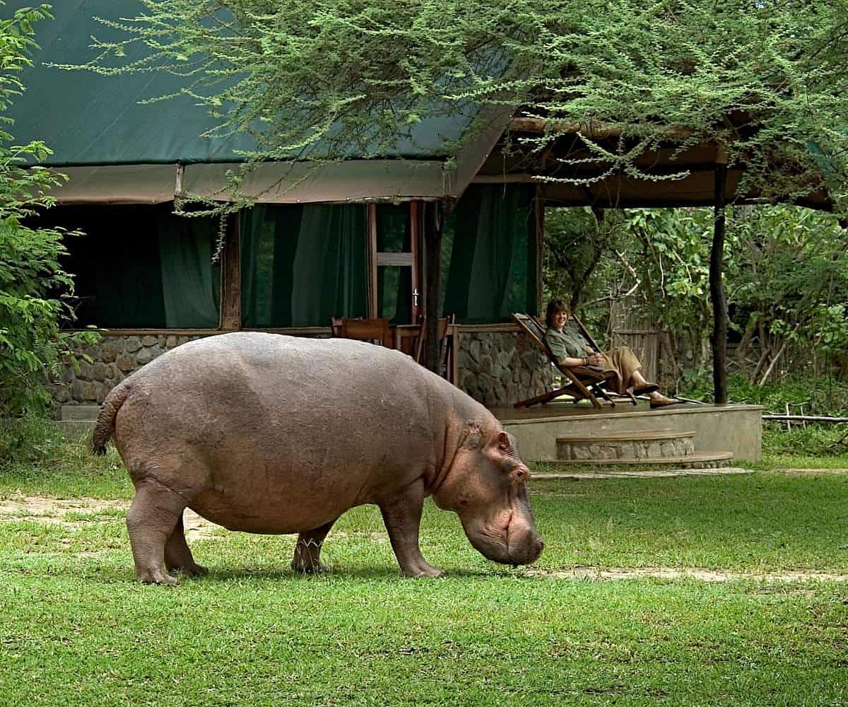 LIWONDE NATIONAL PARK MVUU LODGE