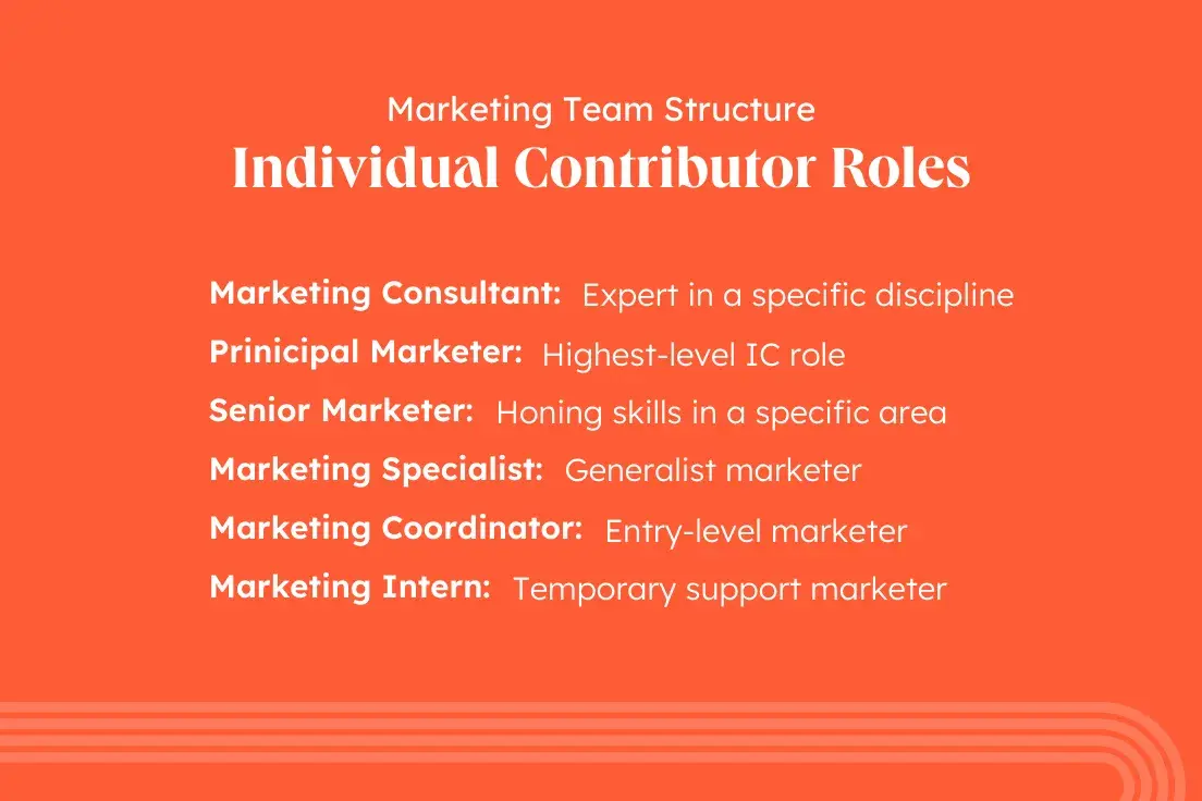 marketing team structure, common marketing team roles, marketing individual contributor roles, Marketing Consultant, Principal Marketer, Senior Marketer, Marketing Specialist, Marketing Coordinator or Associate, Marketing Intern