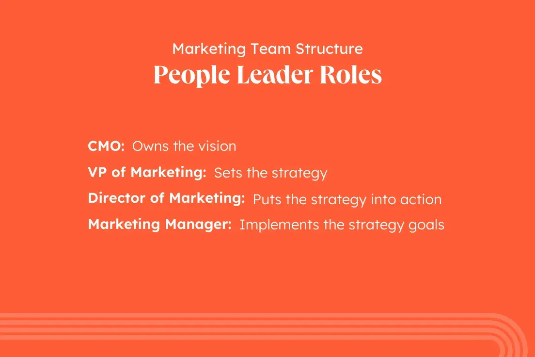 marketing team structure, common marketing team roles, marketing people leader roles, CMO, VP of Marketing, Director of Marketing, Marketing Manager