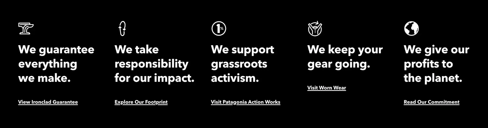 Screencap of Patagonia’s website. “We guarantee everything we make. We take responsibility for our impact. We support grassroots activism. We keep your gear going. We give our profits to the planet.”