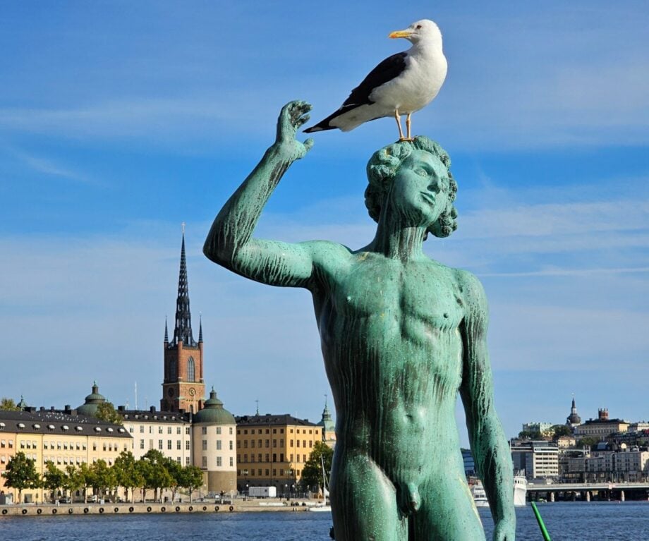 7 attractions you shouldnt miss in Stockholm