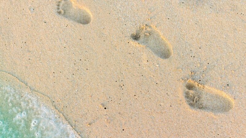 Protecting The Digital Footprint Of Children