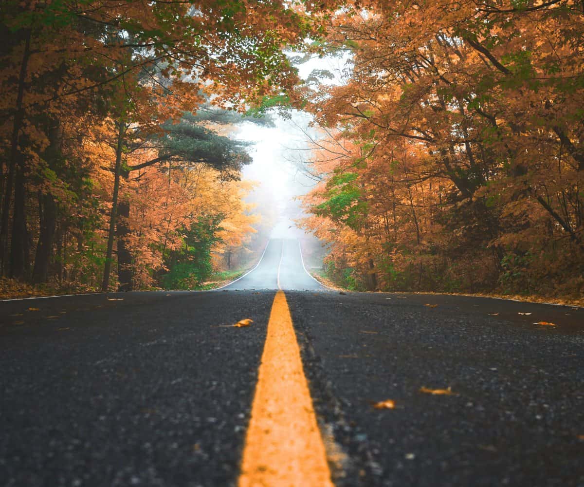 Road in Fall