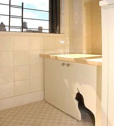 4 Clever Ways to Disguise Your Cat's Litter Tray