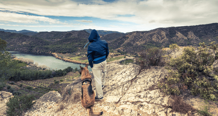 Top 7 Dog Breeds Perfect for Hiking Adventures