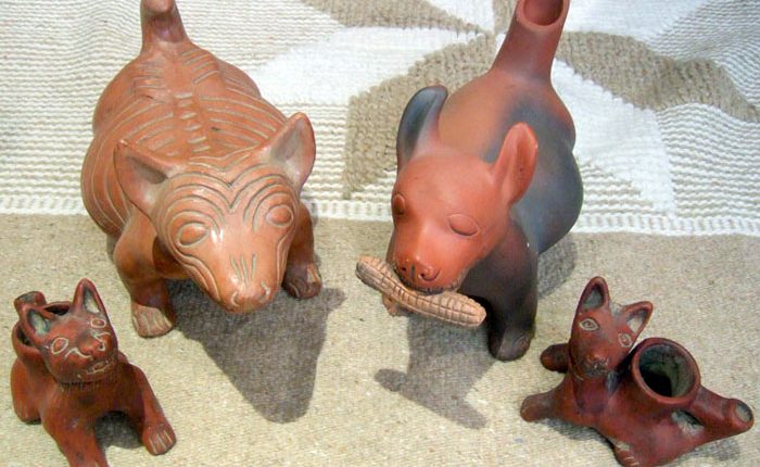 Unusual Breeds: The Xoloitzcuintle