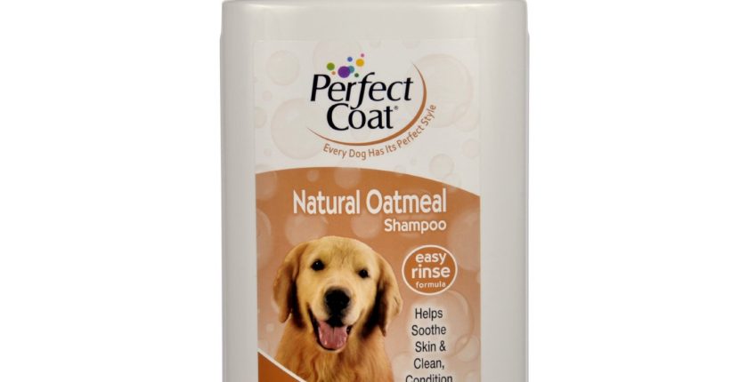 Dog and Cat Shampoo