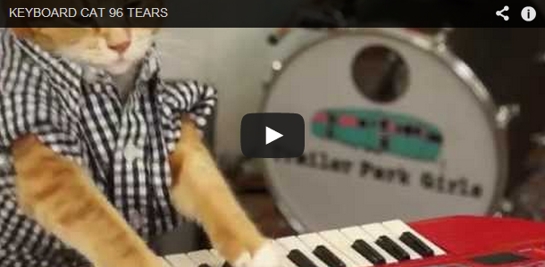 Throwback 'Purrs'-day: Still can't get enough of Keyboard Cat