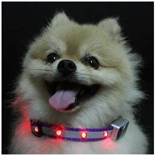 Flashing Dog Collars