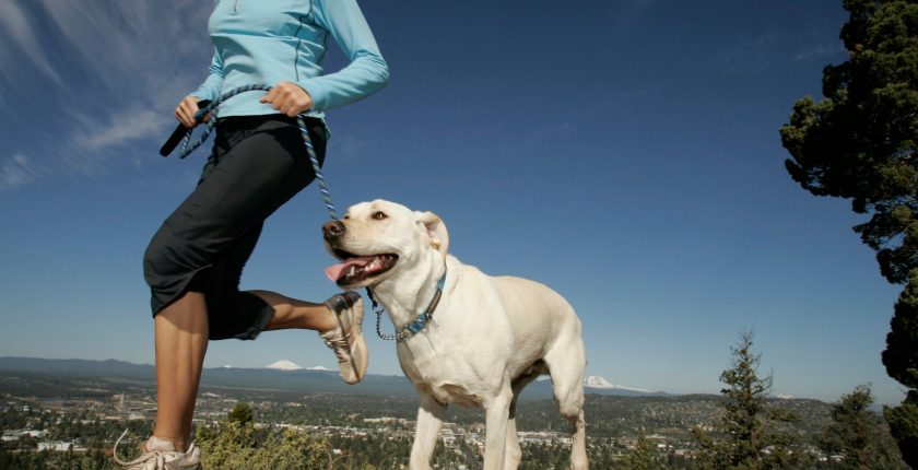 Should You Go Running with Your Dog