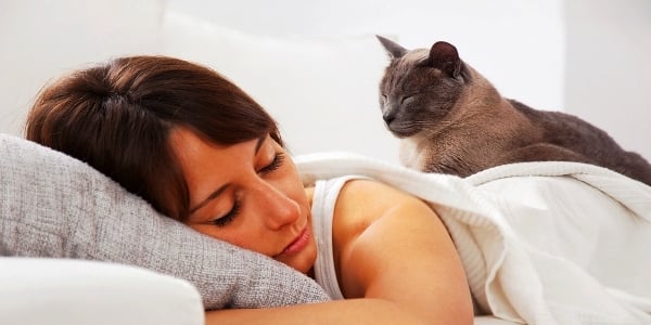 Can Cats Tell When We Are Sick?