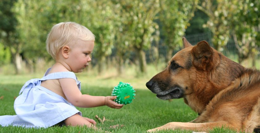 Involving Children In Caring For Family Pets