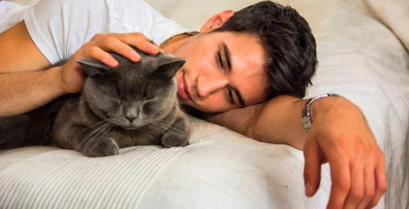 Six subtle signs your cat loves you