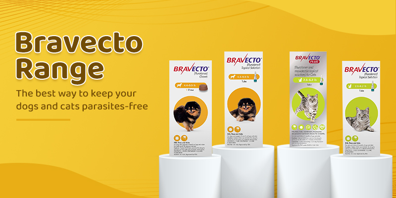 bravecto range for dogs and cats