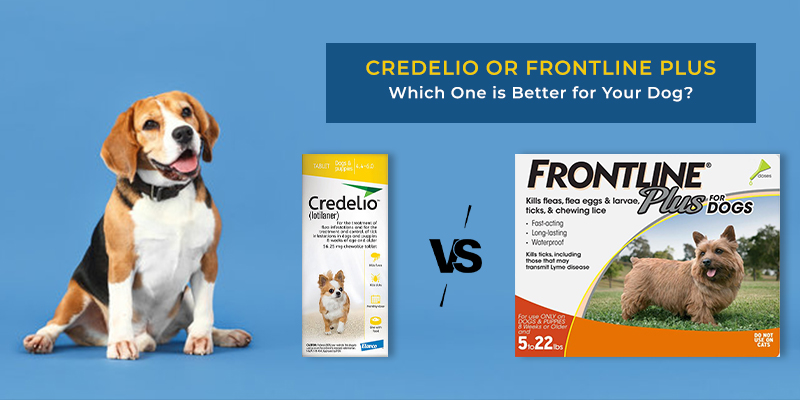 Credelio Vs Frontline