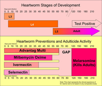 Valuheart as an Ivermectin Alternative