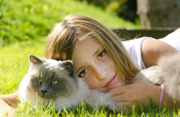 7 Cat Breeds That Are Great With Kids