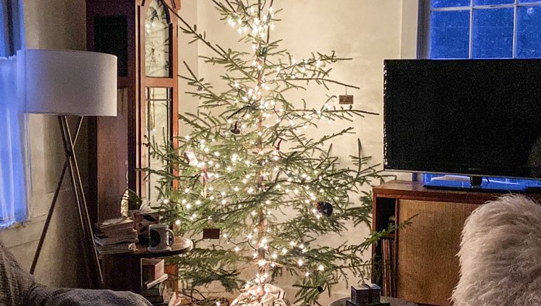 LIGHTROOM ChristmasTree e1733301814488