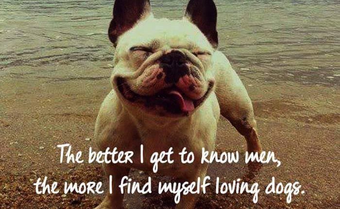 12 #LifeHacker Dog Quotes to turn you into a wiser person – Petsworld