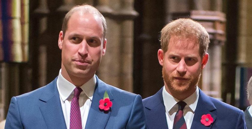 Prince William's Former Aide Discusses 'Sad' Rift With Prince Harry