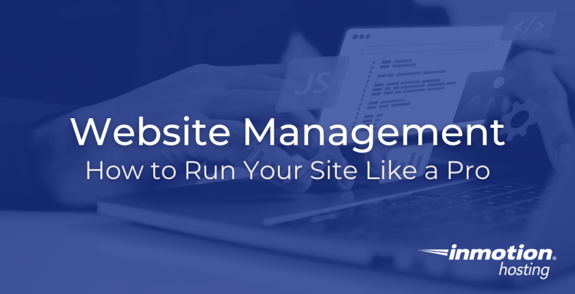 Website Management Article Hero