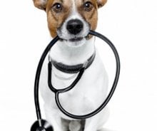 The Health Benefits of Pet Ownership