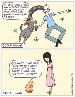 Cat People, Dog People and Personality