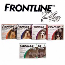 Frontline comes in many different varieties for cats and dogs