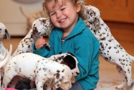 Is Your Child Ready for the Responsibility of a Pet?