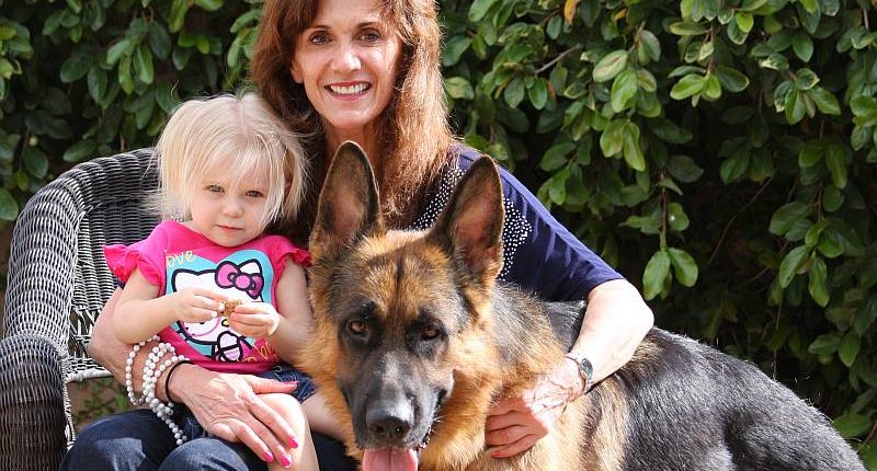 10 Reasons Why German Shepherd is a Good Family Dog – Petsworld