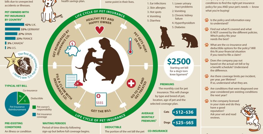 How to Decide on a Policy [INFOGRAPHIC]